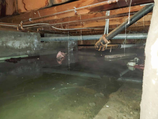Best Flooded house restoration  in Hardin, MT