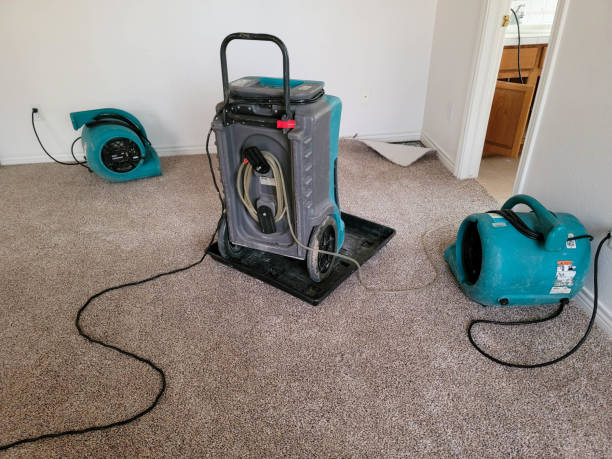 Best Water damage contractors near me  in Hardin, MT