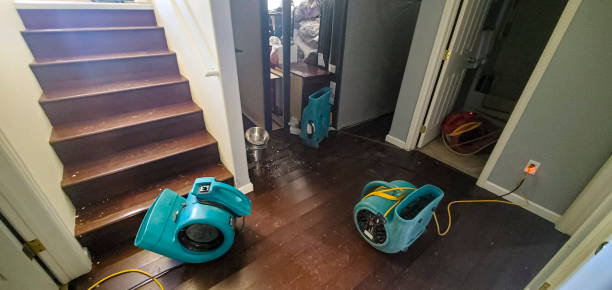 Best Carpet water damage restoration  in Hardin, MT