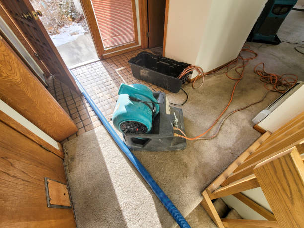 Best Professional water damage repair  in Hardin, MT