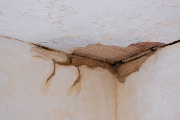 Best Carpet water damage restoration  in Hardin, MT