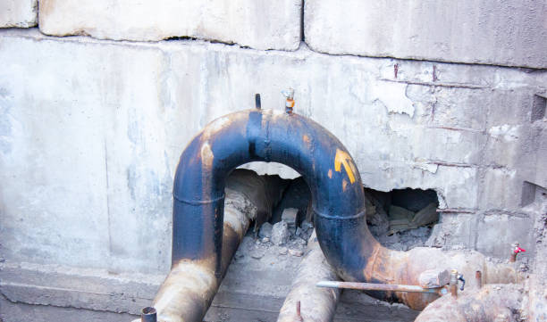 Best Water damage cleanup near me  in Hardin, MT
