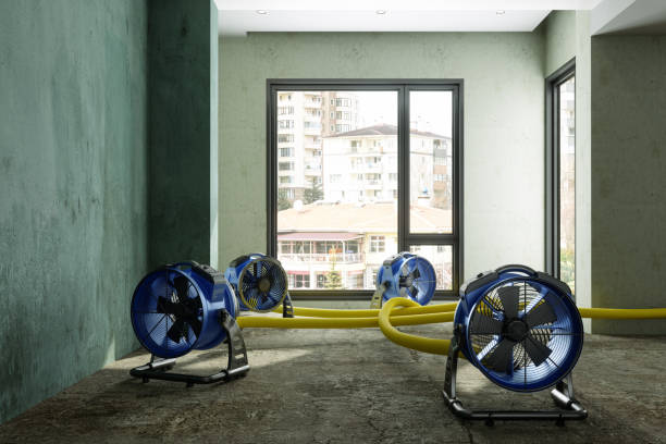 Best 24-hour water damage restoration  in Hardin, MT